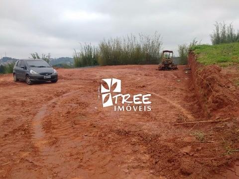 Terreno à venda com 1 quarto, 6000m² - Foto 2