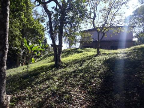 Fazenda à venda com 3 quartos, 1000m² - Foto 5