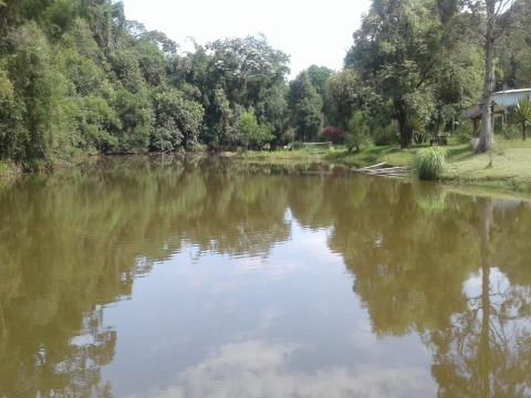 Fazenda à venda com 4 quartos, 200m² - Foto 45