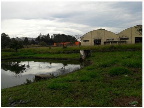 Depósito-Galpão-Armazém à venda e aluguel com 1 quarto, 9000m² - Foto 9