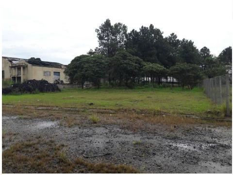 Depósito-Galpão-Armazém à venda e aluguel com 1 quarto, 9000m² - Foto 20