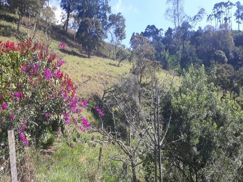 Terreno à venda com 1 quarto, 27600m² - Foto 6