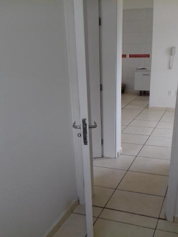 Apartamento à venda com 2 quartos, 51m² - Foto 19