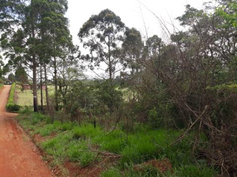 Terreno à venda com 1 quarto, 5643m² - Foto 7