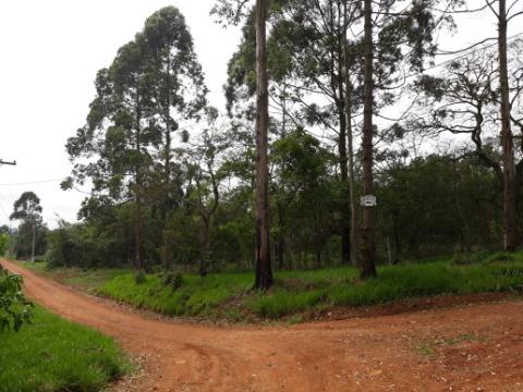 Terreno à venda com 1 quarto, 5643m² - Foto 9