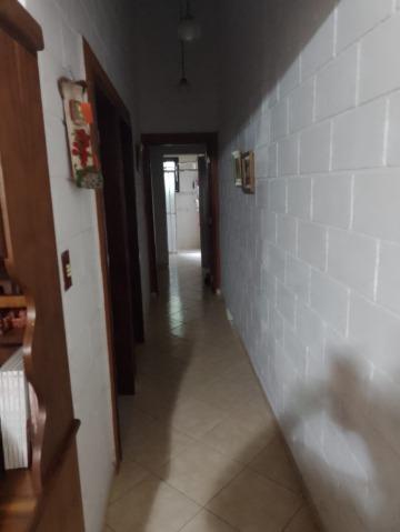 Fazenda à venda com 3 quartos, 220m² - Foto 18