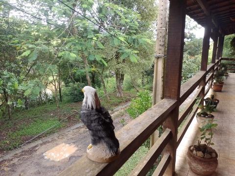 Fazenda à venda com 3 quartos, 220m² - Foto 28