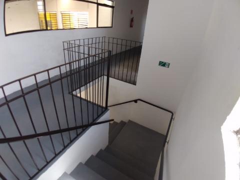 Depósito-Galpão-Armazém à venda com 3 quartos, 400m² - Foto 41