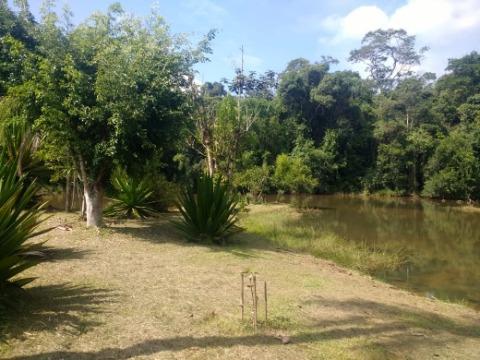 Fazenda à venda com 4 quartos, 200m² - Foto 43