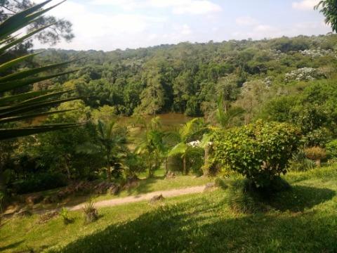 Fazenda à venda com 4 quartos, 200m² - Foto 40