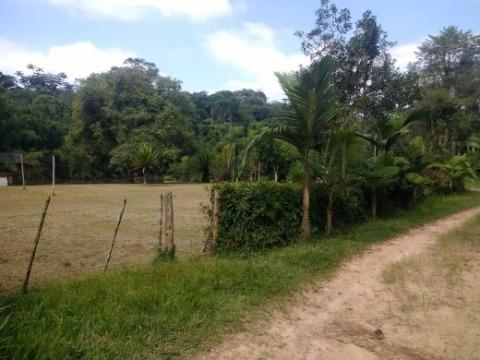 Fazenda à venda com 4 quartos, 200m² - Foto 36