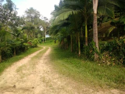 Fazenda à venda com 4 quartos, 200m² - Foto 37