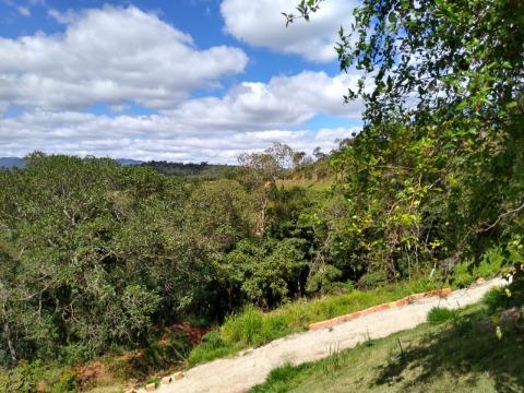 Fazenda à venda com 4 quartos, 160m² - Foto 20