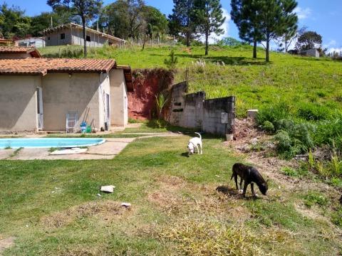 Fazenda à venda com 4 quartos, 160m² - Foto 12