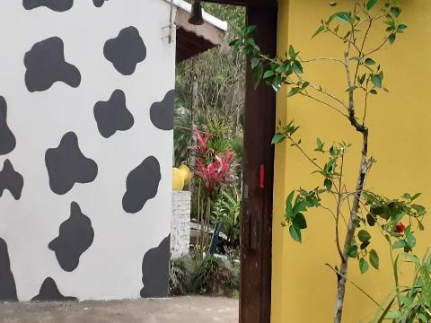 Fazenda à venda com 10 quartos, 300m² - Foto 6