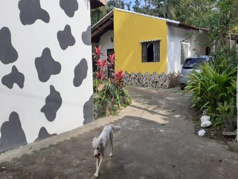 Fazenda à venda com 10 quartos, 300m² - Foto 5