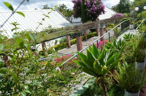 Fazenda à venda e aluguel com 24 quartos, 2000m² - Foto 44