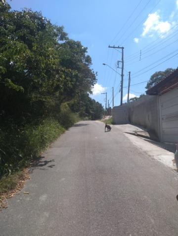 Terreno à venda com 1 quarto, 150m² - Foto 3