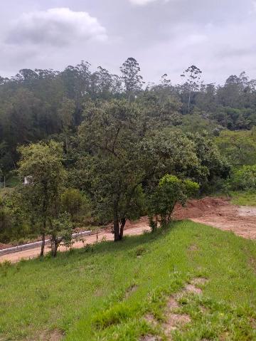 Fazenda à venda com 1 quarto, 7646m² - Foto 3