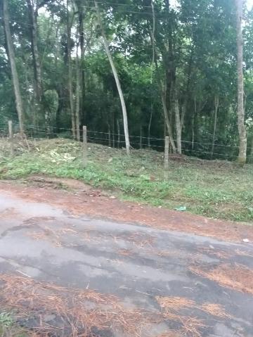 Terreno à venda com 1 quarto, 4000m² - Foto 1