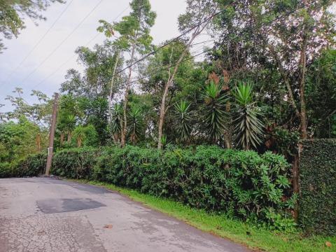 Terreno à venda com 1 quarto, 1217m² - Foto 1