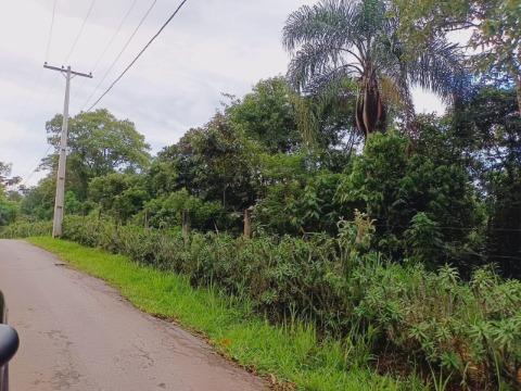 Terreno à venda com 1 quarto, 1217m² - Foto 6