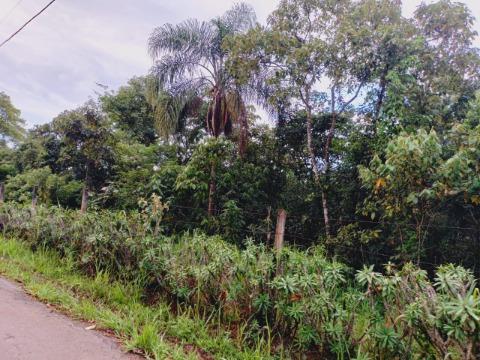 Terreno à venda com 1 quarto, 1040m² - Foto 3