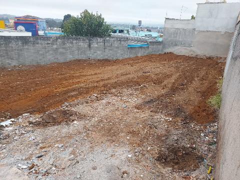 Terreno à venda e aluguel com 1 quarto, 325m² - Foto 2