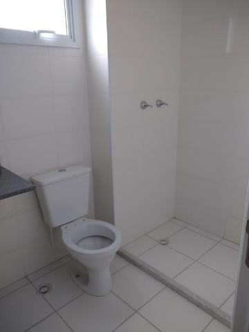 Apartamento à venda e aluguel com 4 quartos, 55m² - Foto 15