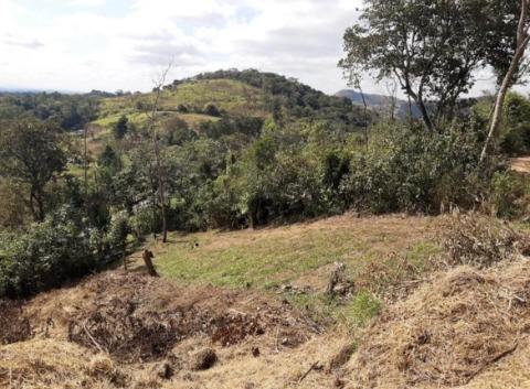 Terreno à venda com 1 quarto, 500m² - Foto 2