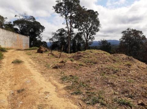 Terreno à venda com 1 quarto, 500m² - Foto 5