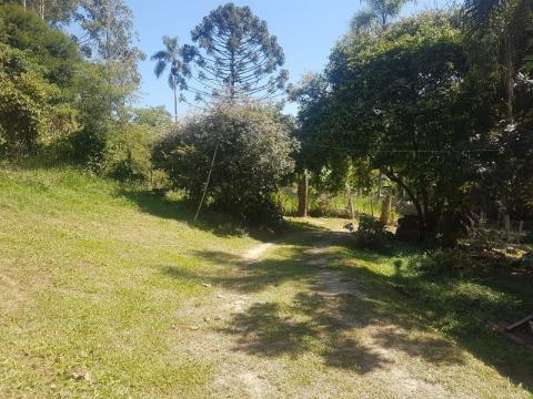 Fazenda à venda com 6 quartos, 350m² - Foto 32