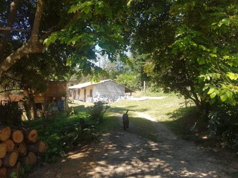 Fazenda à venda com 6 quartos, 350m² - Foto 33