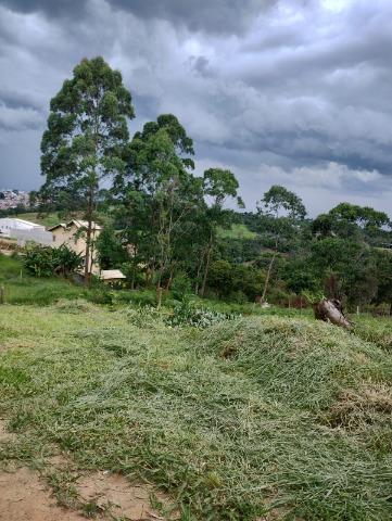 Terreno à venda com 1 quarto, 125m² - Foto 3