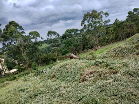 Terreno à venda com 1 quarto, 125m² - Foto 4