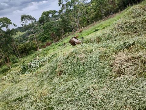 Terreno à venda com 1 quarto, 125m² - Foto 5